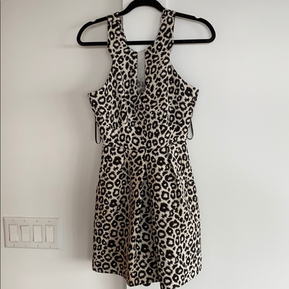 Zebra dress